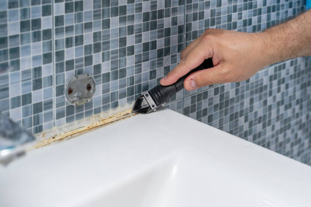 Best Bathroom Mold Remediation in Eastlake, OH