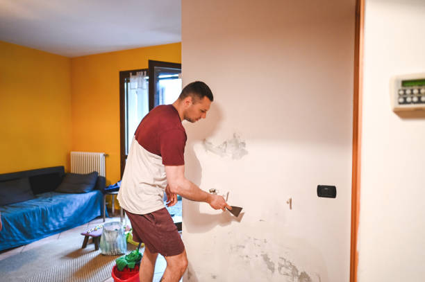 Best Insurance-Related Mold Remediation in Eastlake, OH