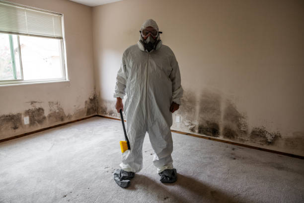 Professional Mold Remediation in Eastlake, OH